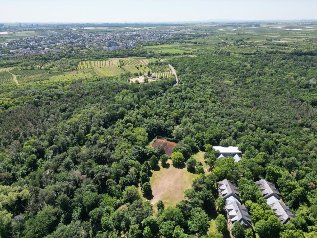 Ferienhaus Budenheim Экстерьер фото